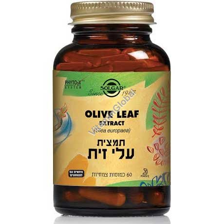 תמצית עלי זית 60 כמוסות - סולגאר