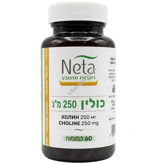 כולין 250 מ"ג 60 כמוסות - נטע רוקחות מהטבע