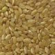 אורז מלא אורגני 500 גרם - תבואות