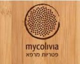 מיקוליביב - פטריות מרפא