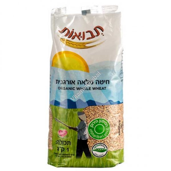 חיטה מלאה אורגנית 1 ק"ג - תבואות