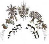 מנחת הארץ - קמחים אורגניים