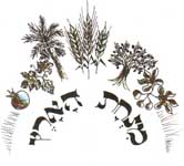 מנחת הארץ - קמחים אורגניים